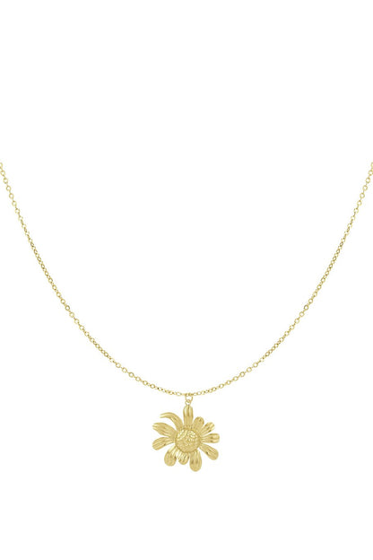 Sunshine ketting
