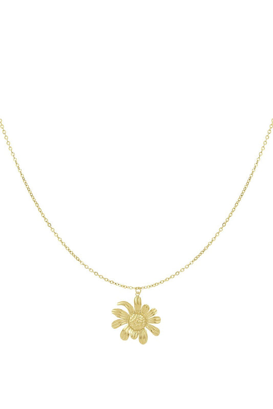 Sunshine ketting